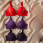 Luxury Silk Embroidered Padded Bra – Soft Fabric, Elegant Design & All-Day Comfort for Women - SS Smart Store