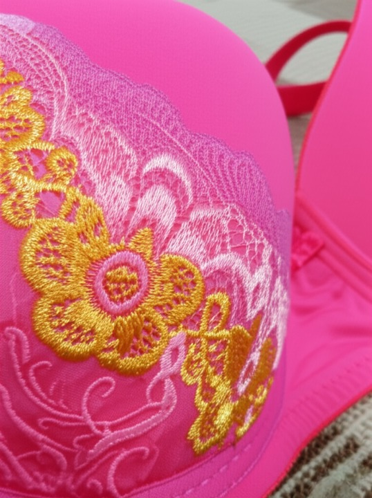 Luxury Silk Embroidered Padded Bra – Soft Fabric, Elegant Design & All-Day Comfort for Women - SS Smart Store